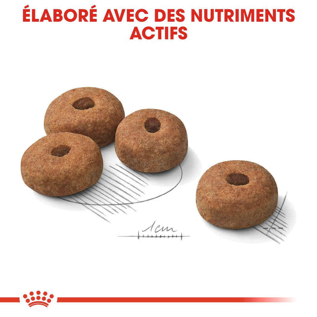 Royal Canin Maxi Sterilised - Croquettes pour chien