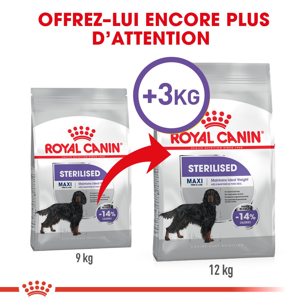 Royal Canin Maxi Sterilised - Croquettes pour chien