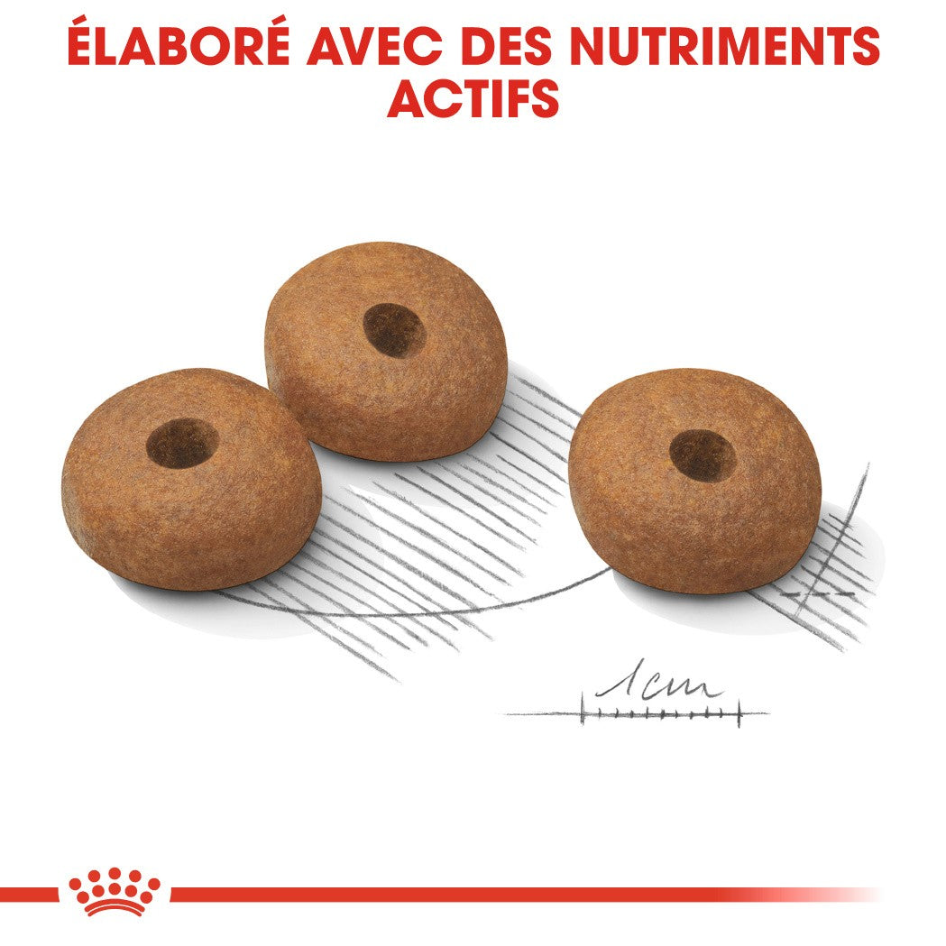 Royal Canin Medium Light Weight Care - Croquettes pour chien
