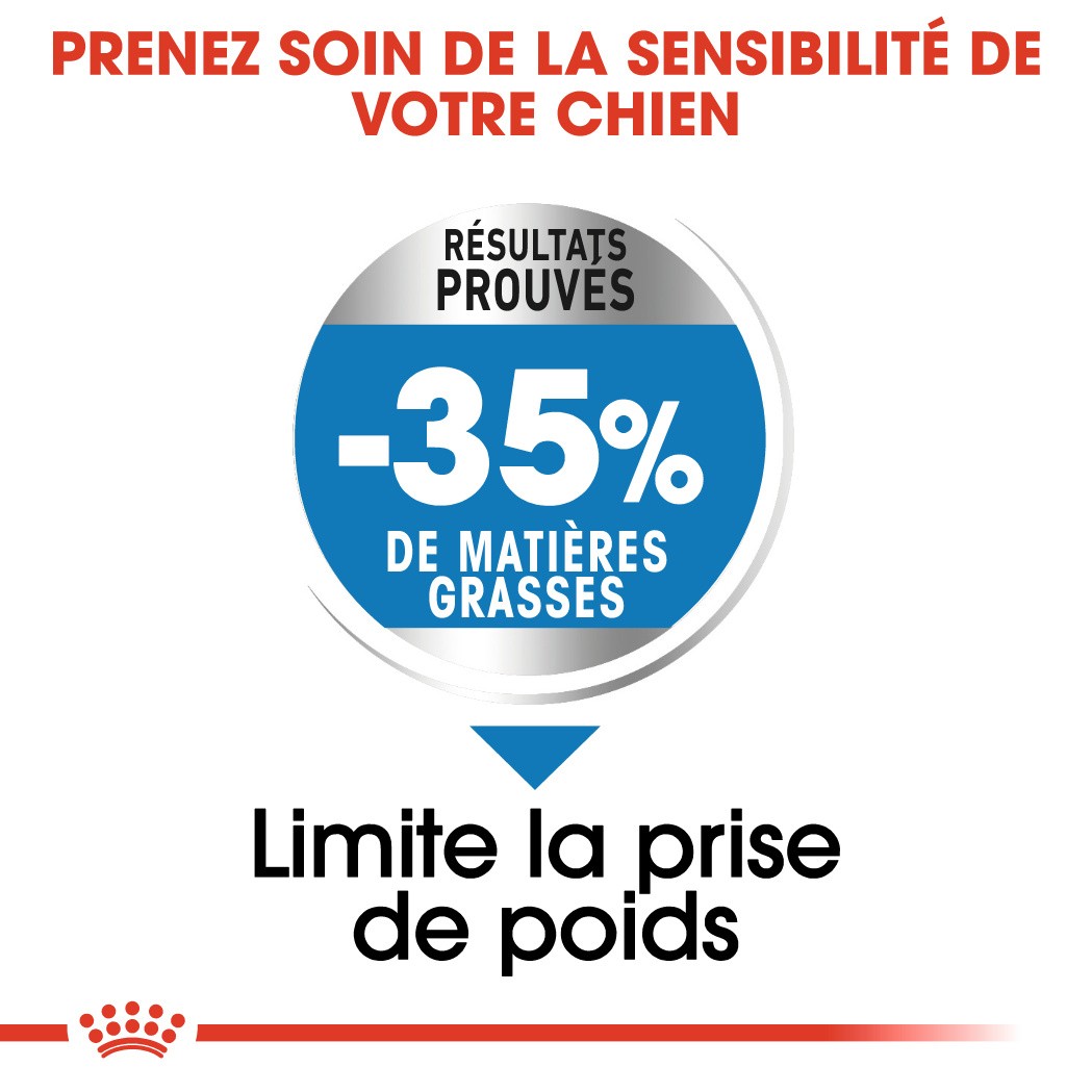 Royal Canin Maxi Light Weight Care - Croquettes pour chien