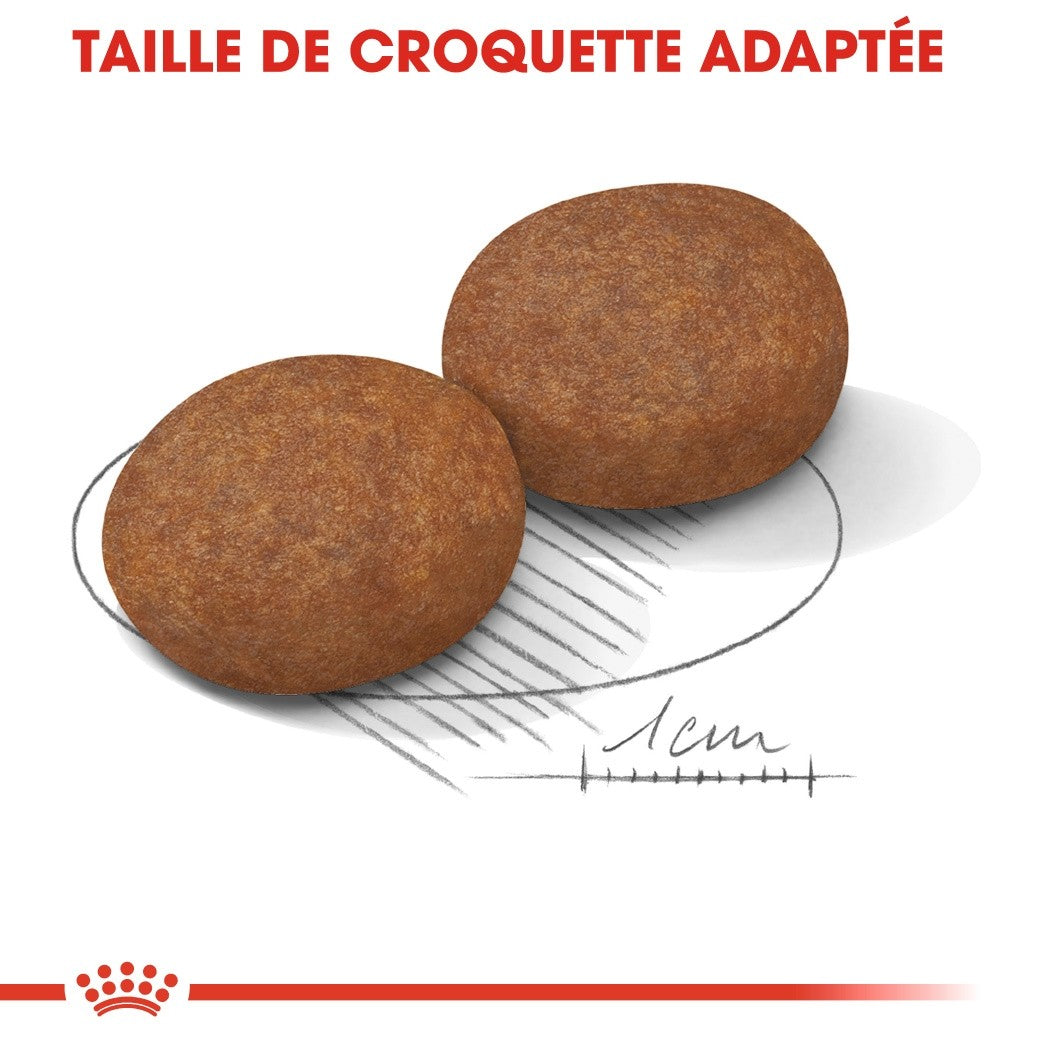 ROYAL CANIN Medium Adult 7+ - Croquettes pour chien