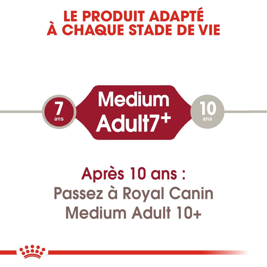 ROYAL CANIN Medium Adult 7+ - Croquettes pour chien