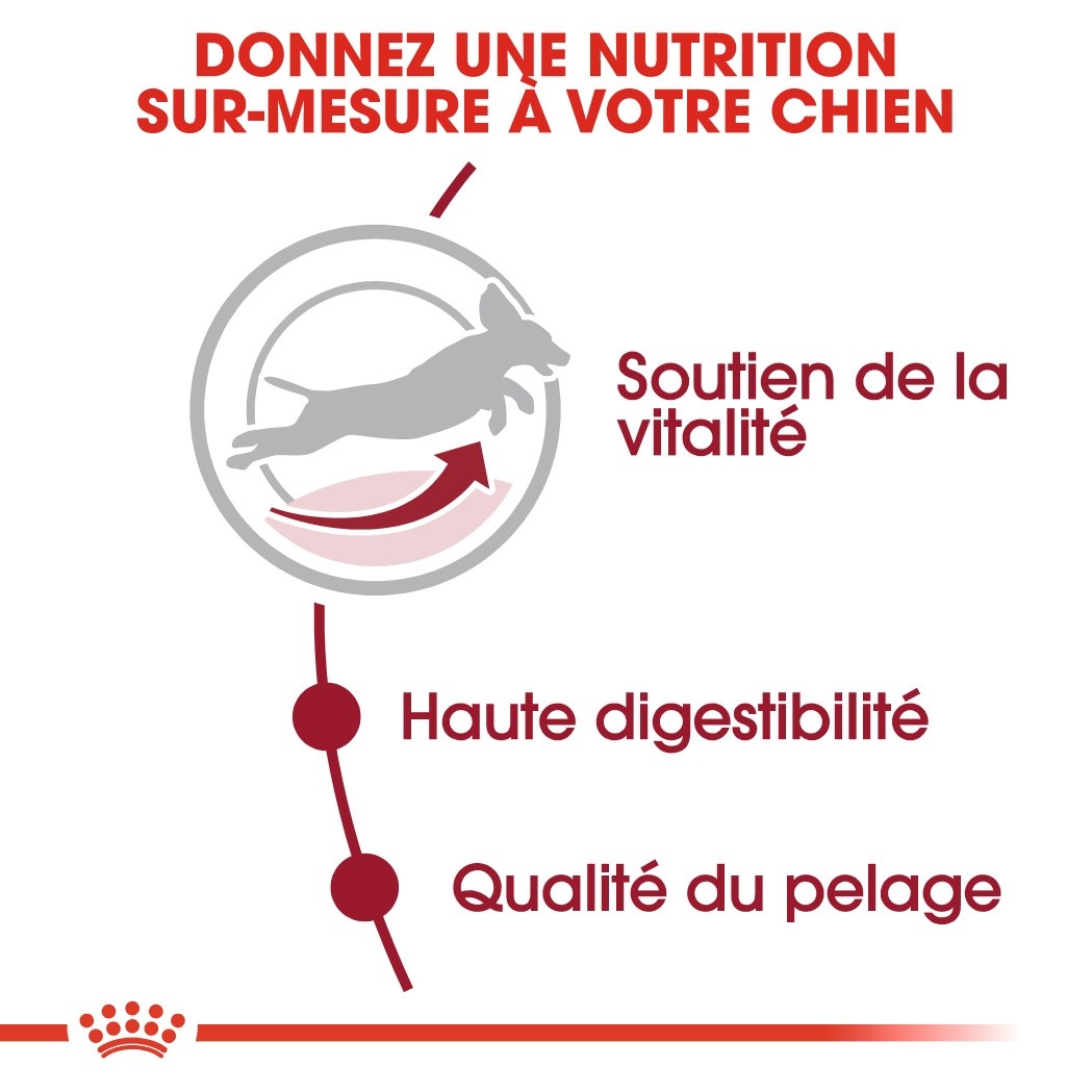 ROYAL CANIN Medium Adult 7+ - Croquettes pour chien