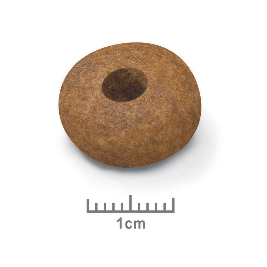 Royal Canin Medium Ageing 10+