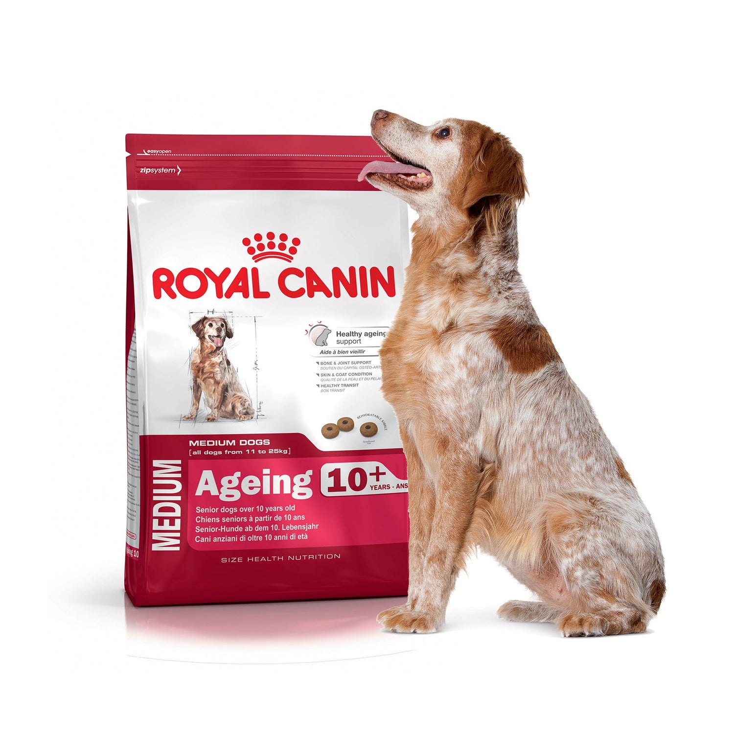 Royal Canin Medium Ageing 10+