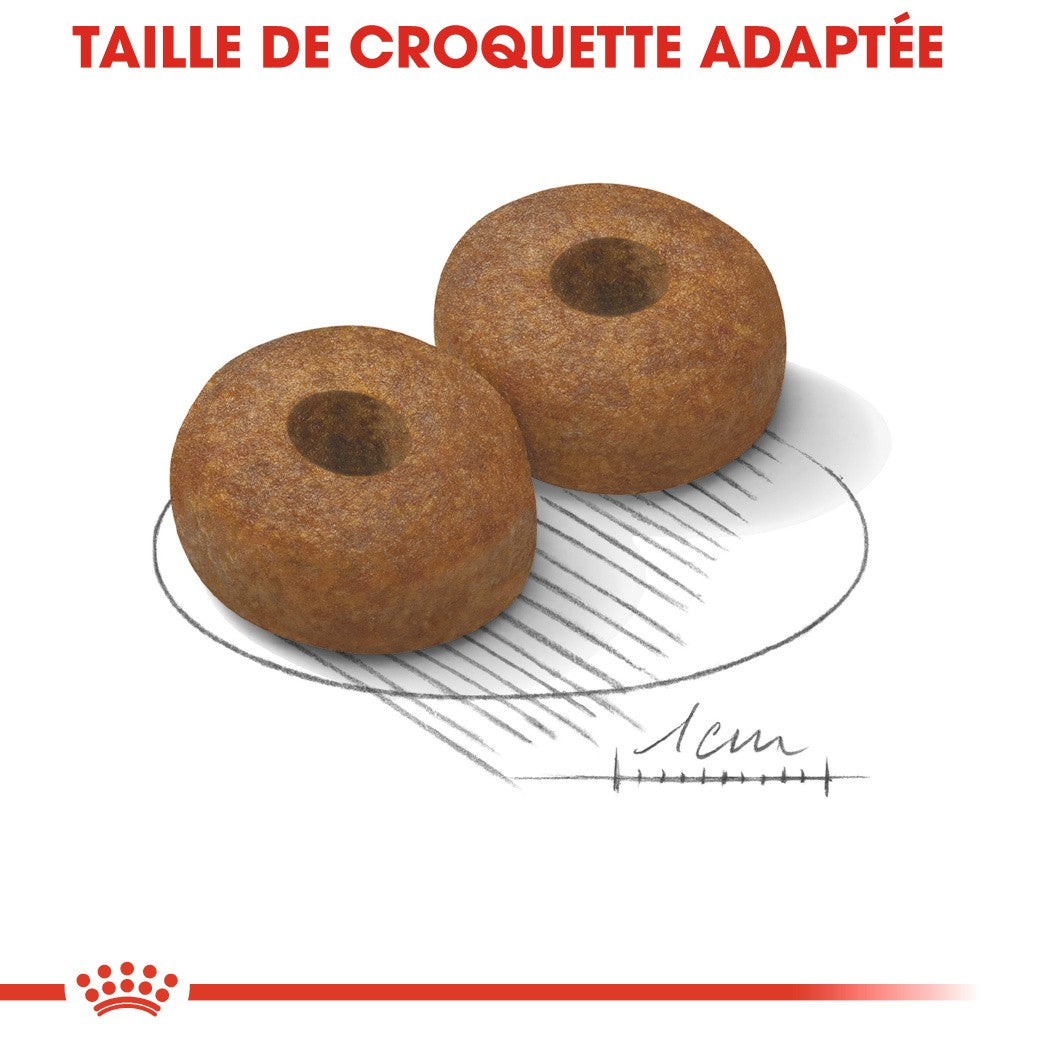 Royal Canin Maxi Ageing 8+ - Croquettes pour chien