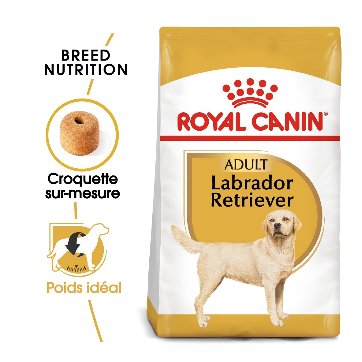 Royal Canin Labrador Retriever Adult - Croquettes pour chien