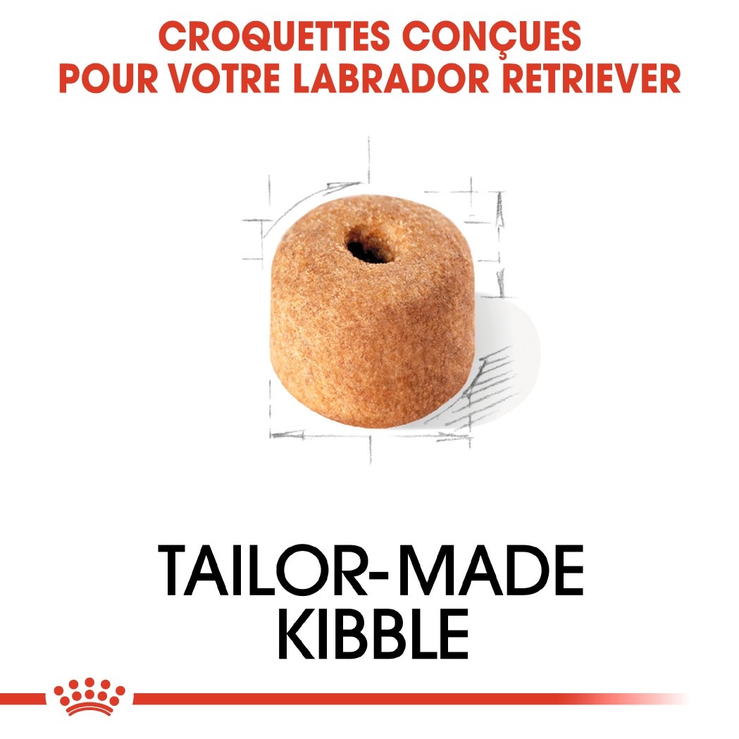 Royal Canin Labrador Retriever Adult - Croquettes pour chien