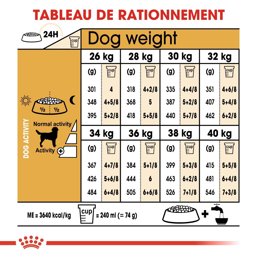 Royal Canin Labrador Retriever Adult - Croquettes pour chien