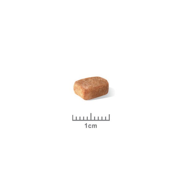 Royal Canin Chihuahua Puppy - Croquettes pour chiot