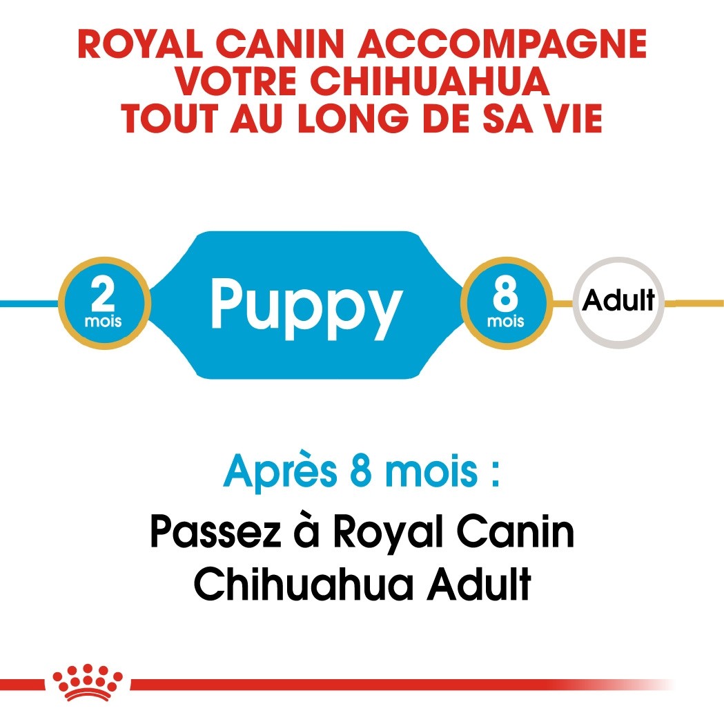 Royal Canin Chihuahua Puppy - Croquettes pour chiot