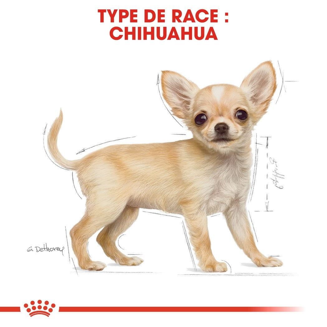Royal Canin Chihuahua Puppy - Croquettes pour chiot