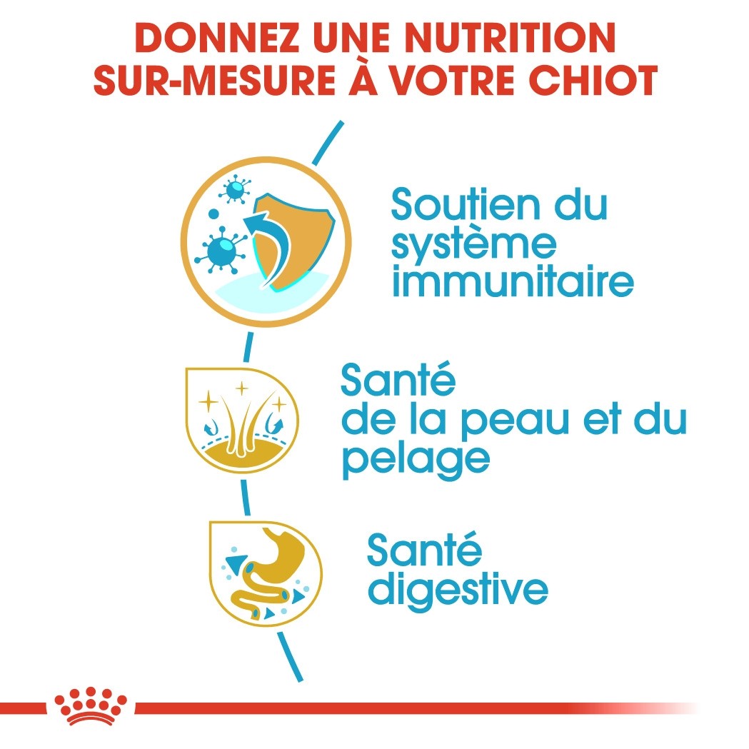 Royal Canin Cocker Puppy