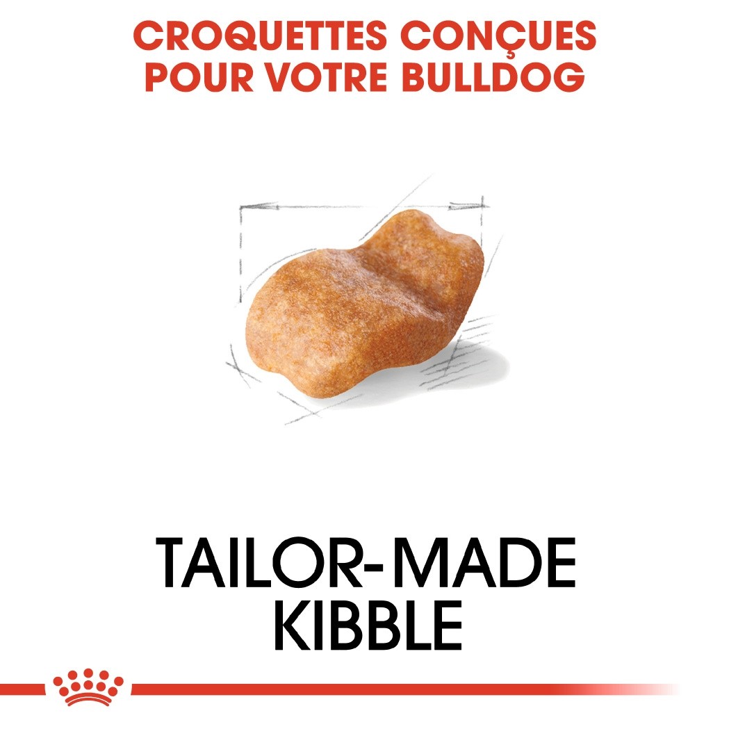 ROYAL CANIN Bulldog Adult (Boulldog Anglais) - Croquettes pour chien