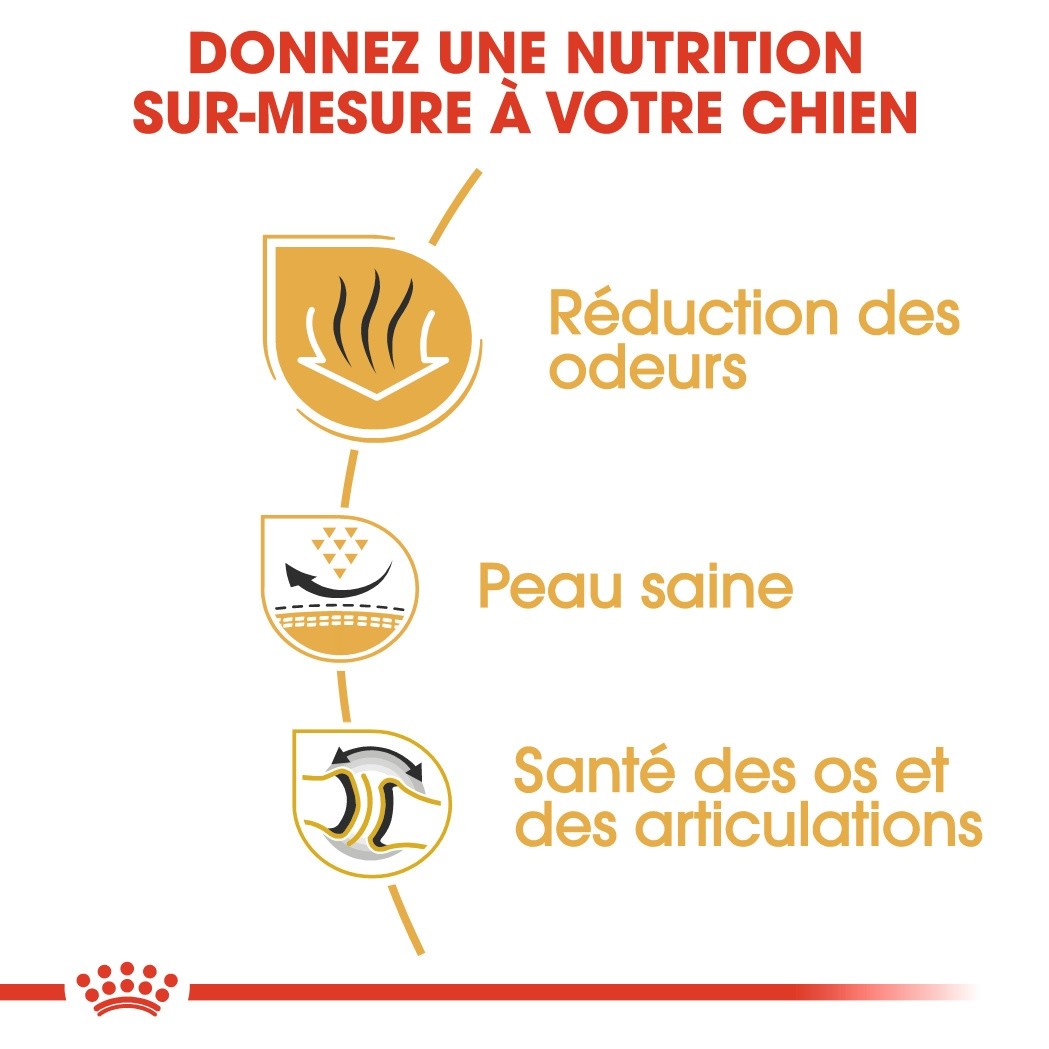 ROYAL CANIN Bulldog Adult (Boulldog Anglais) - Croquettes pour chien