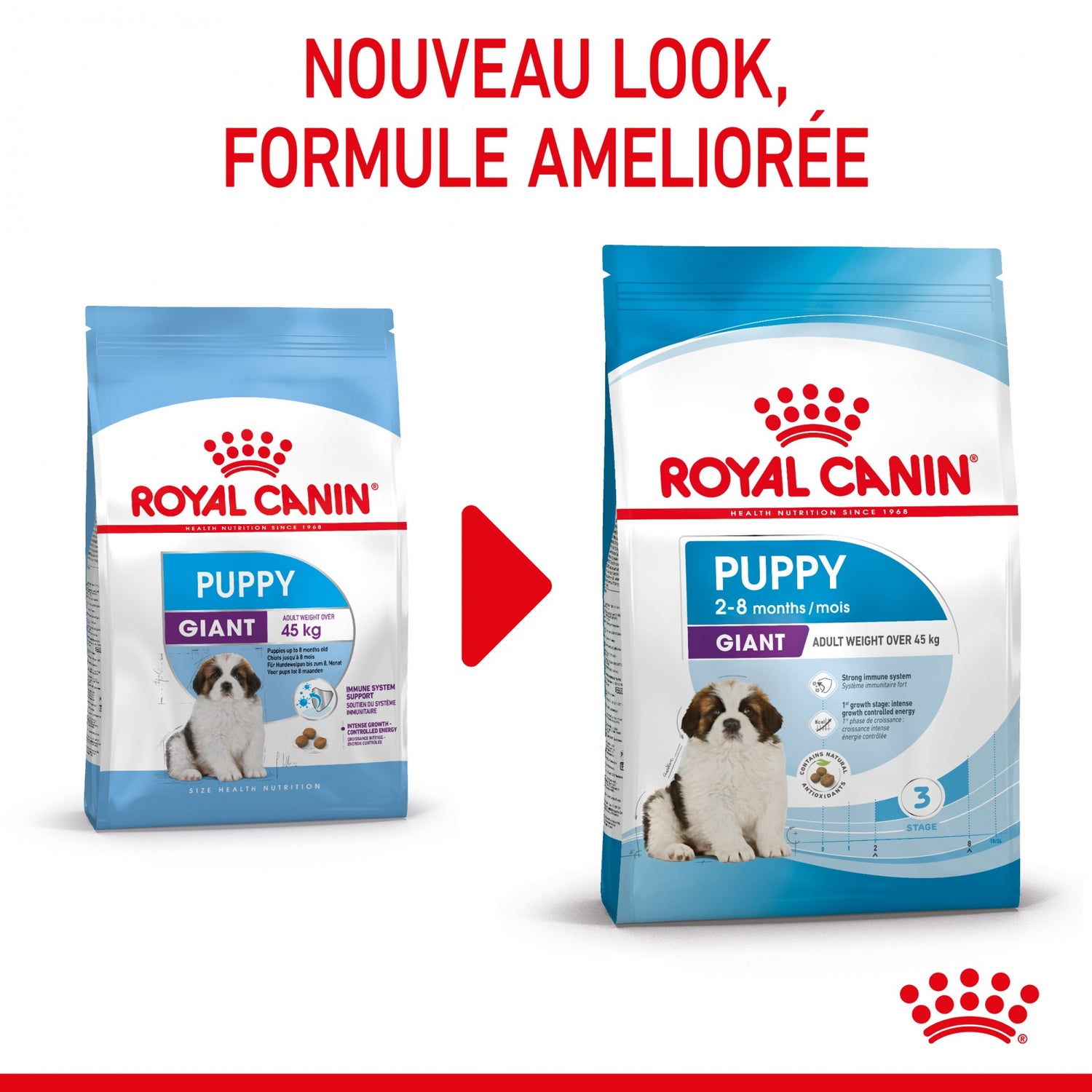 Royal Canin Giant Puppy - Croquettes pour chiot