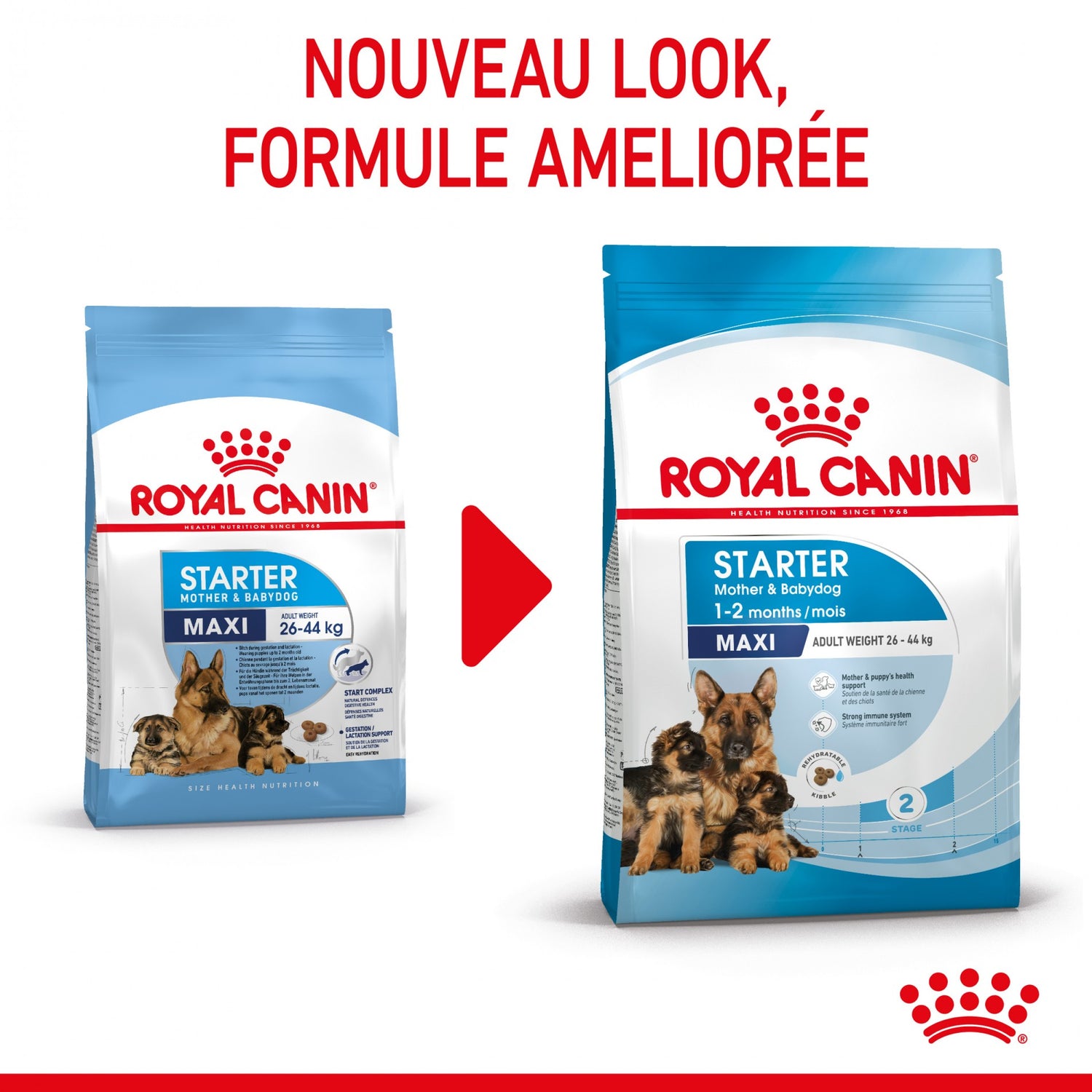ROYAL CANIN Starter Maxi Mother & Babydog - Croquettes pour chiot