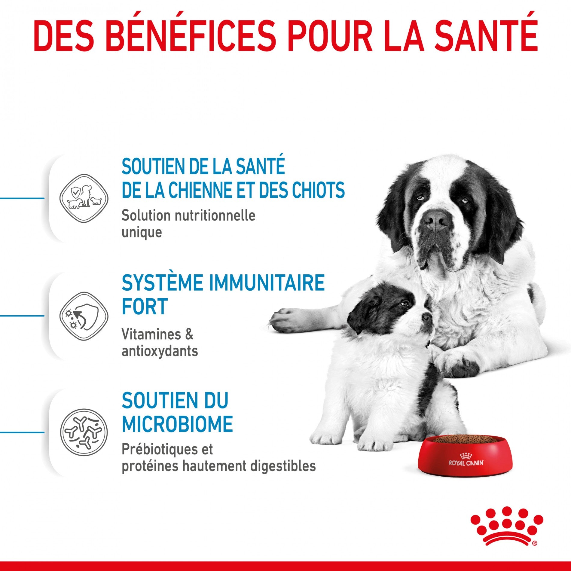ROYAL CANIN Size Nutrition