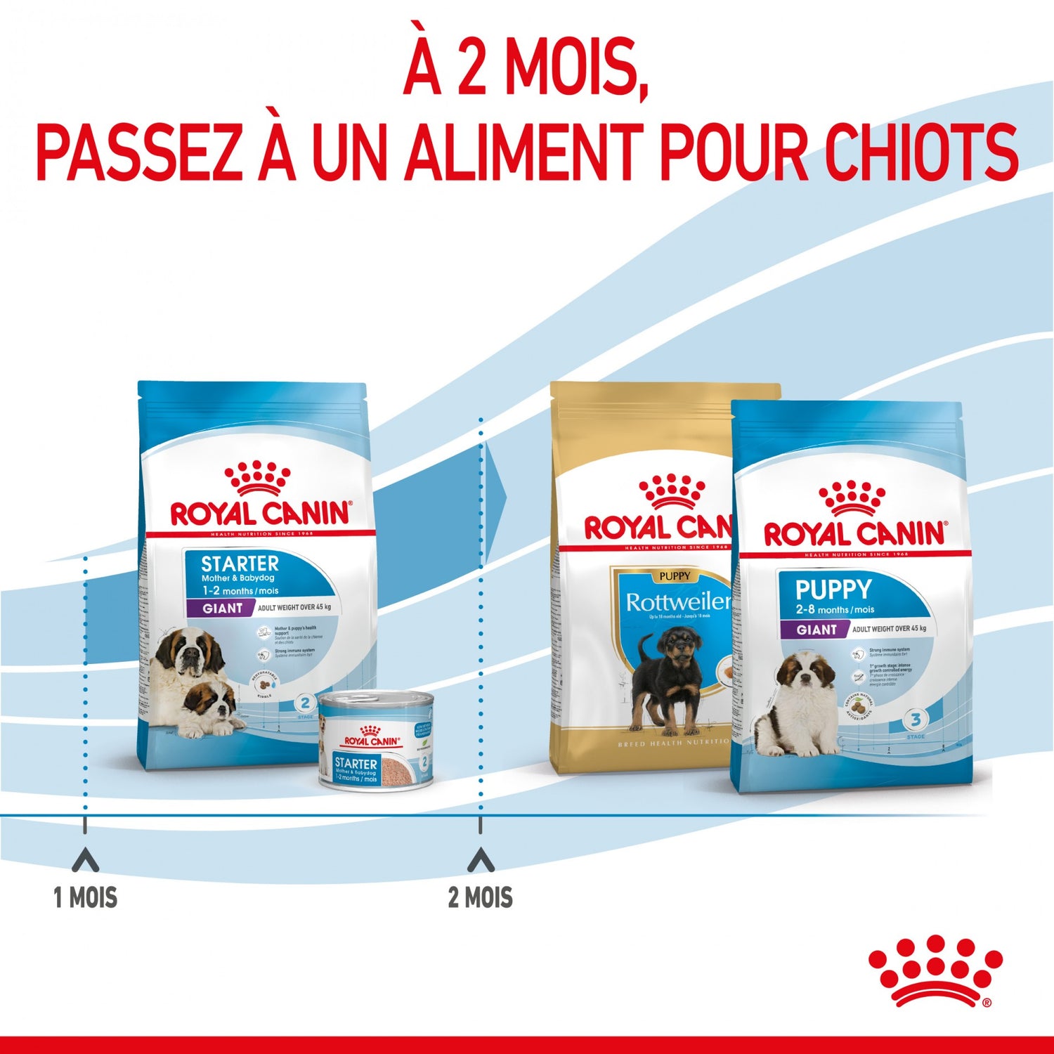 ROYAL CANIN Size Nutrition