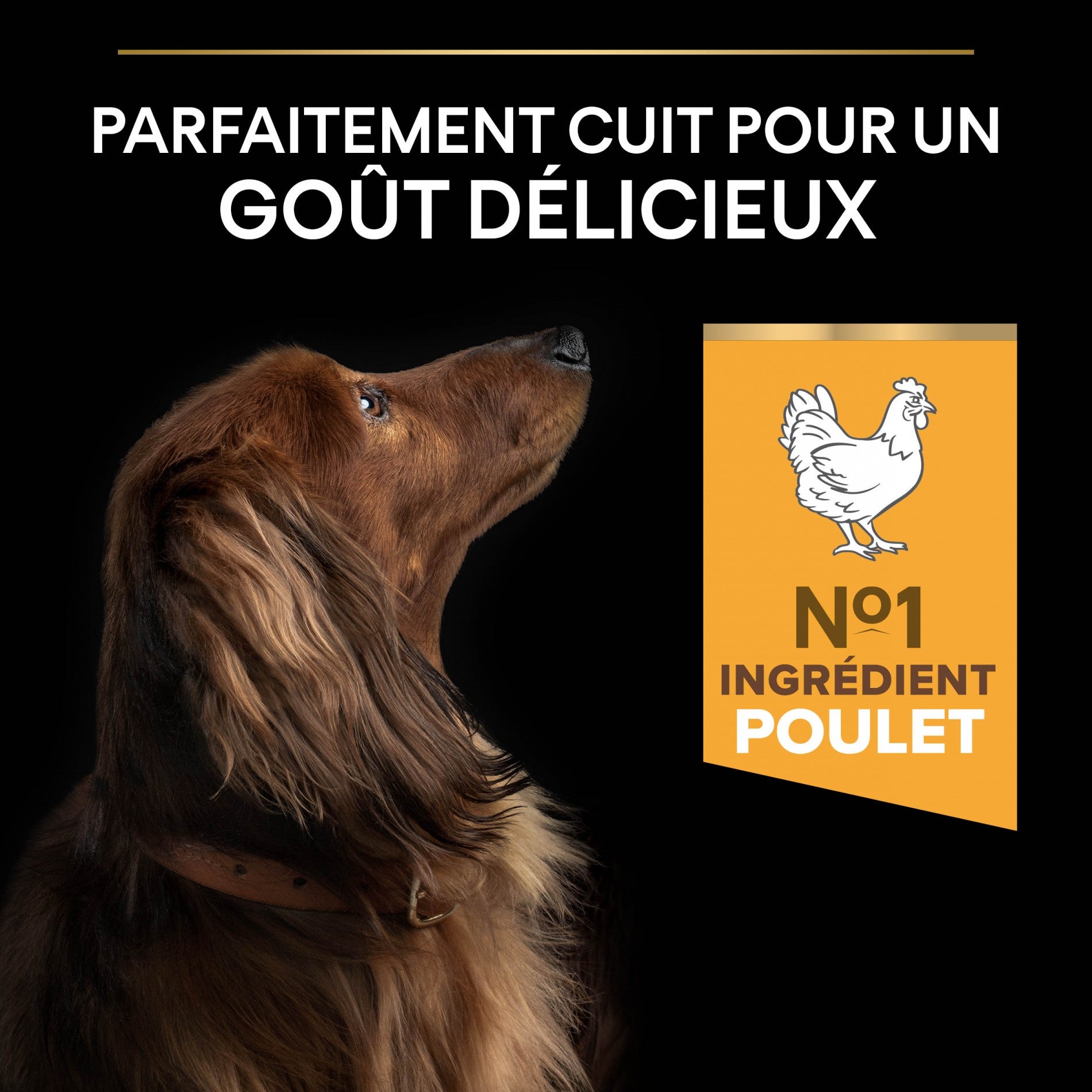 PRO PLAN Light/Sterilised Small & Mini Adult au Poulet - Croquettes pour chien