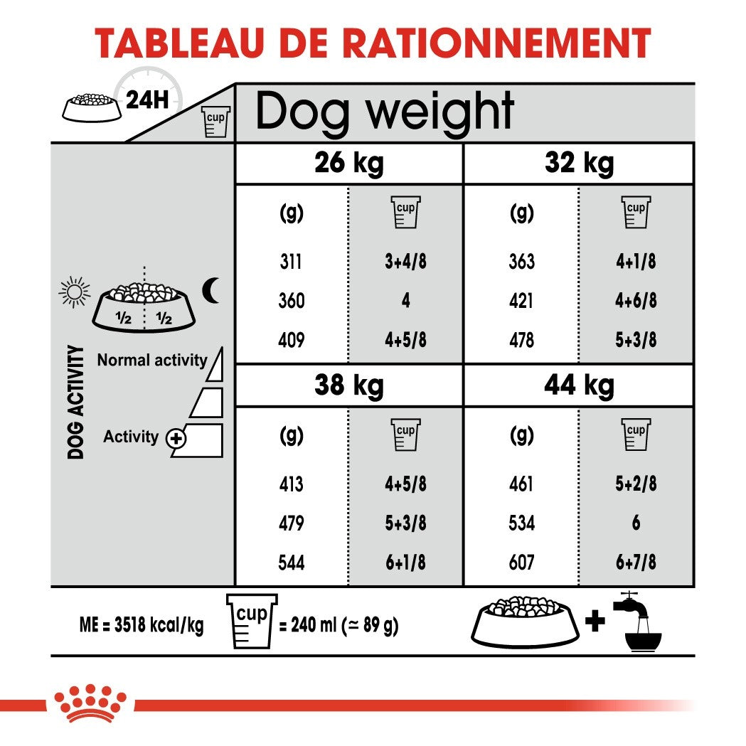 Royal Canin Maxi Joint Care - Croquettes pour chien