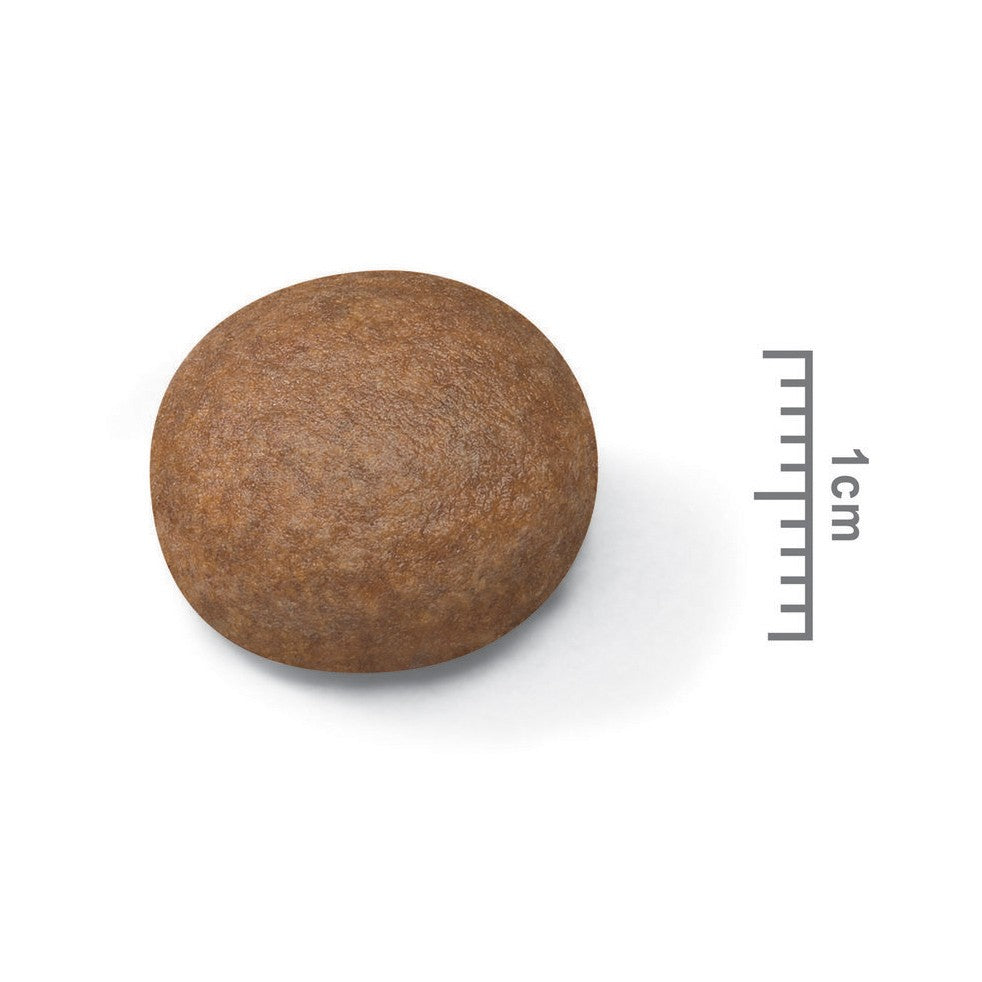 Royal Canin Medium Digestive Care - Croquettes pour chien