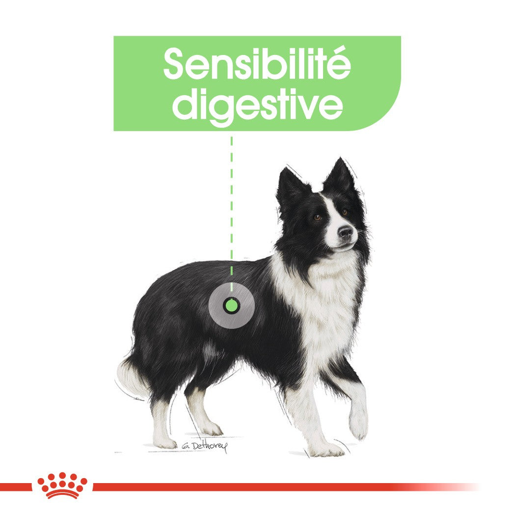 Royal Canin Medium Digestive Care - Croquettes pour chien