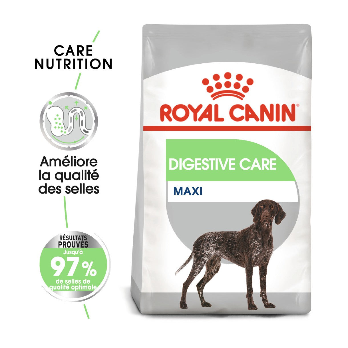 Royal Canin Maxi Digestive Care - Croquettes pour chien