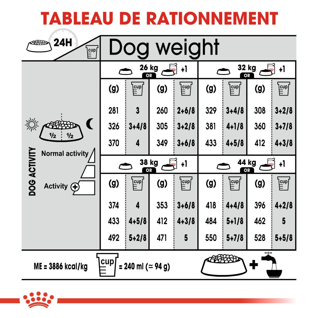 Royal Canin Maxi Digestive Care - Croquettes pour chien