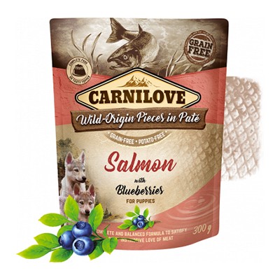 CARNILOVE Wild Origin Pices in Pate au saumon – Pâtée pour chiot