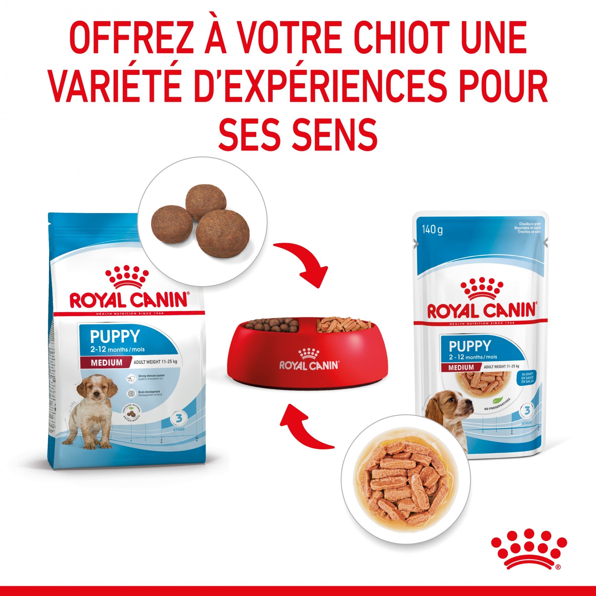 Royal Canin Medium Puppy en Sauce - Pâtée pour chiot