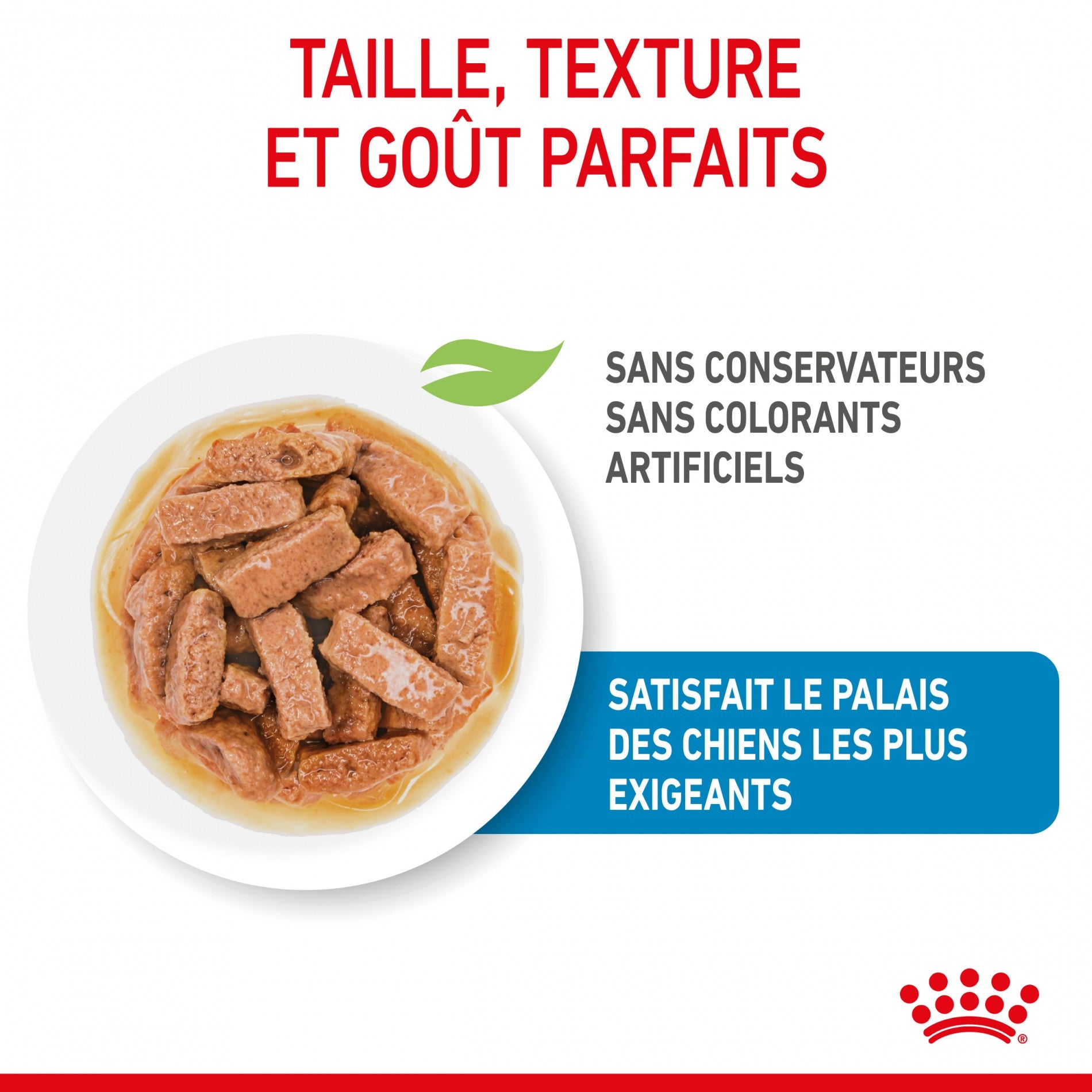 Royal Canin Maxi Puppy en Sauce - Pâtée pour chiot