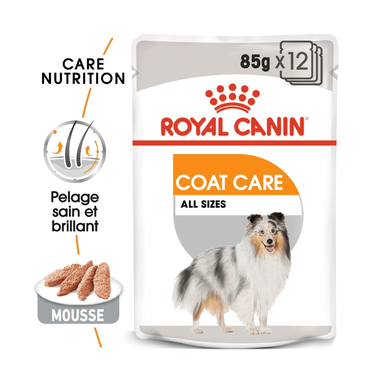 Royal Canin Coat Care - Pâtée pour chien