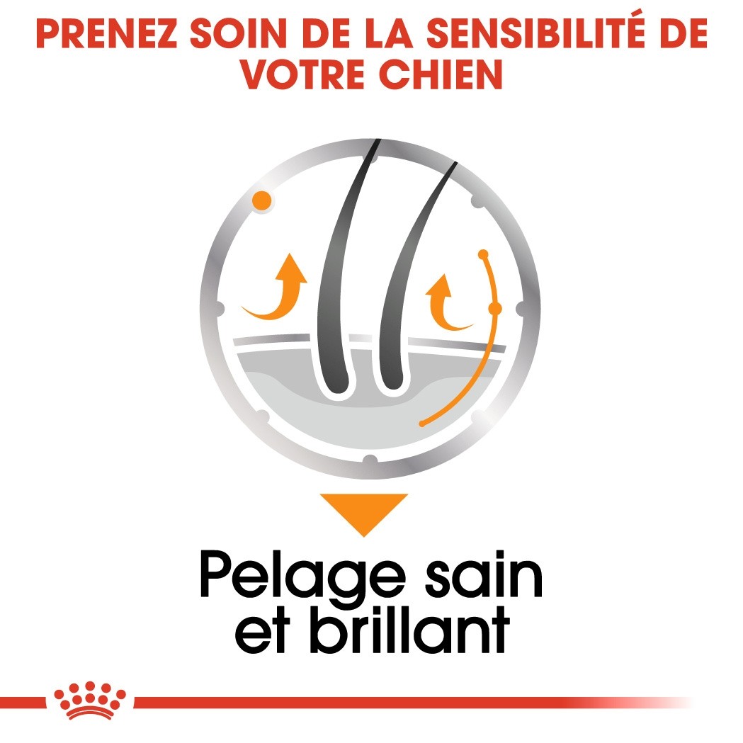 Royal Canin Coat Care - Pâtée pour chien