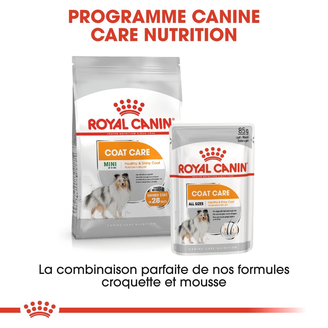 Royal Canin Coat Care - Pâtée pour chien
