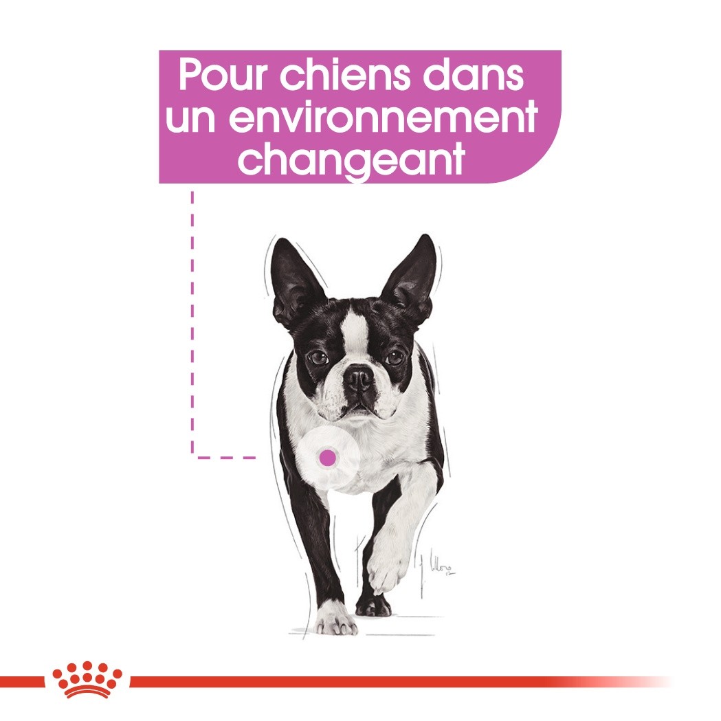 Royal Canin Relax Care - Pâtée pour chien