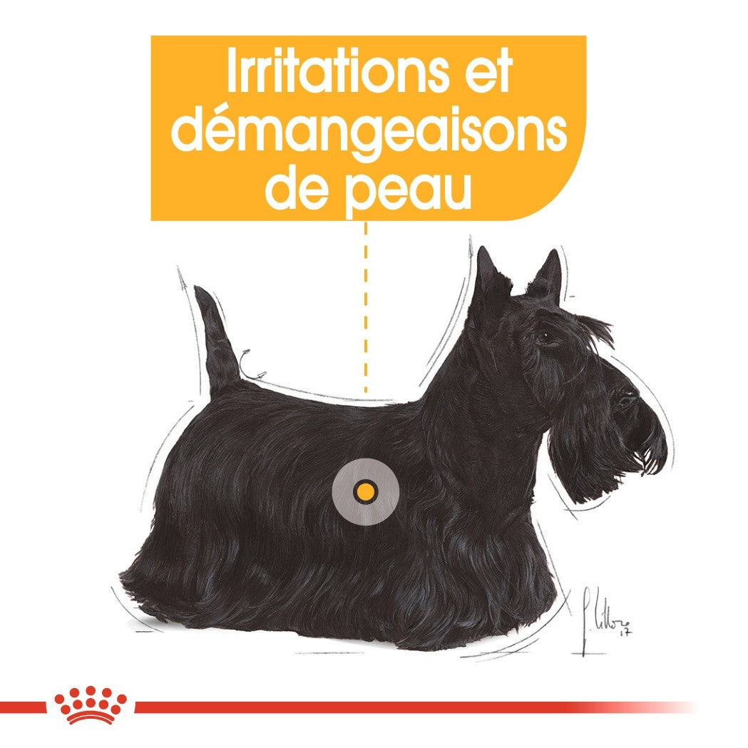 Royal Canin Dermacomfort - Pâtée pour chien