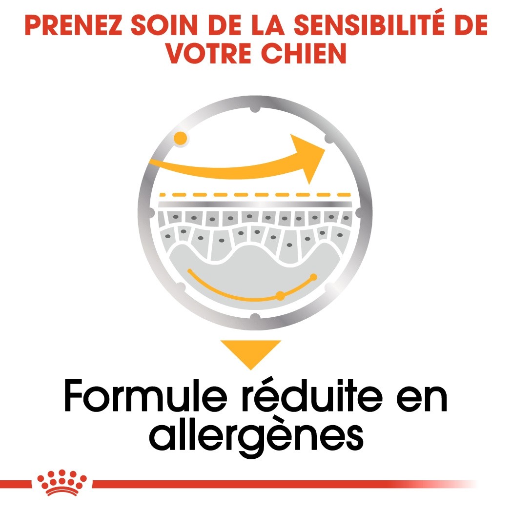 Royal Canin Dermacomfort - Pâtée pour chien