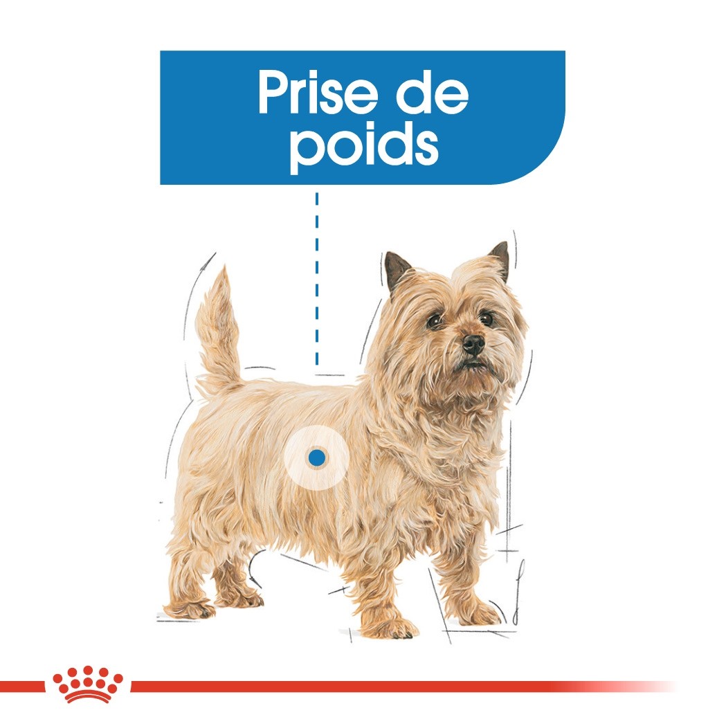 Royal Canin Light Weight Care - Pâtée pour chien