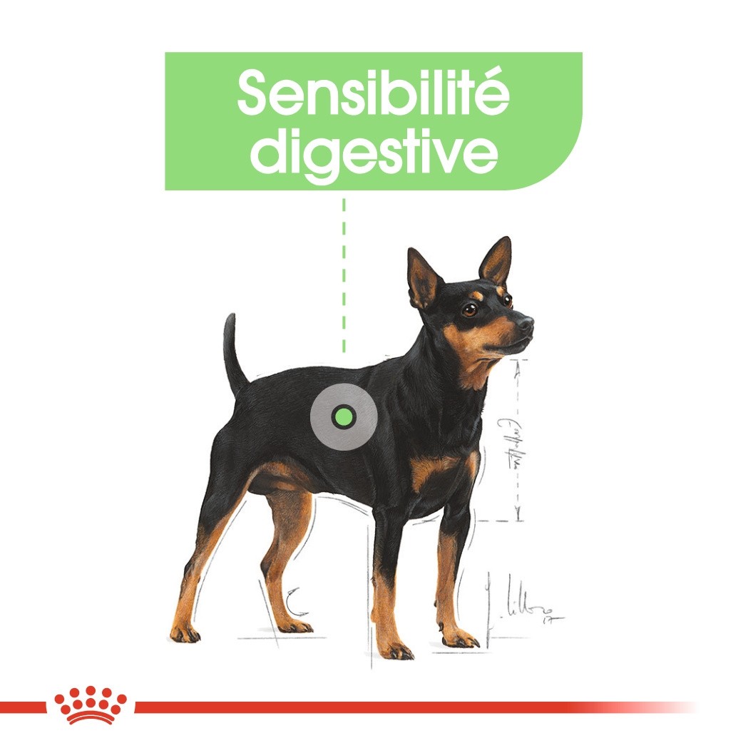 Royal Canin Digestive Care - Pâtée pour chien