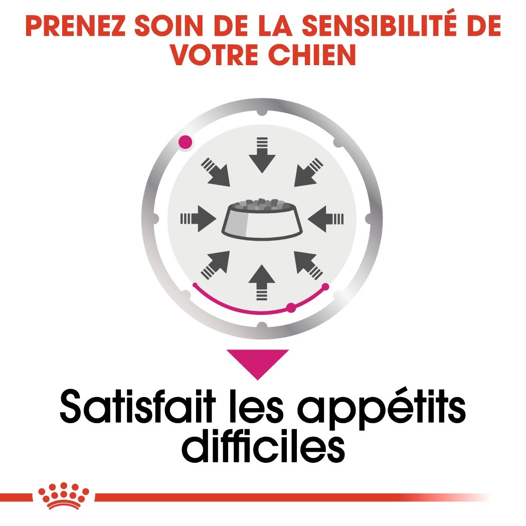 Royal Canin Exigent - Pâtée pour chien