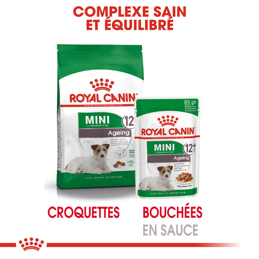 Royal Canin Mini Ageing 12 - Pâtée pour chien