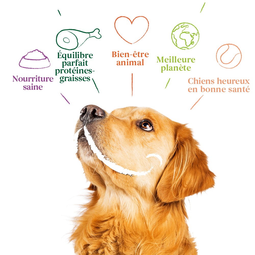 Yarrah pâtées bio Chien - Lot 12 x 400 g