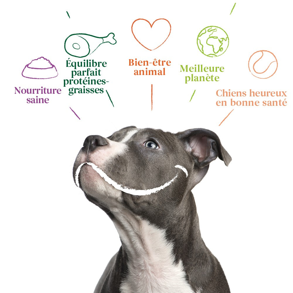 Yarrah pâtées bio sans céréales - Lot 12 x 400 g