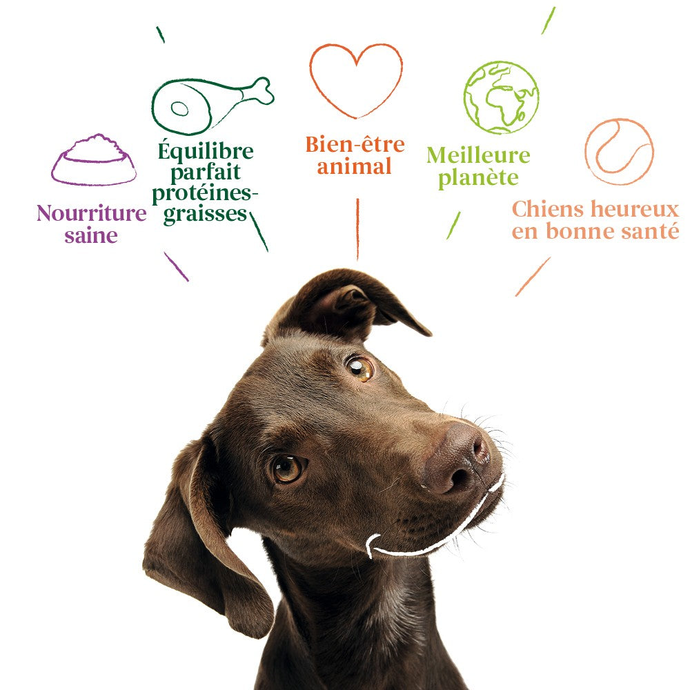 Yarrah multi-pack bio - Lot 6 x 150g