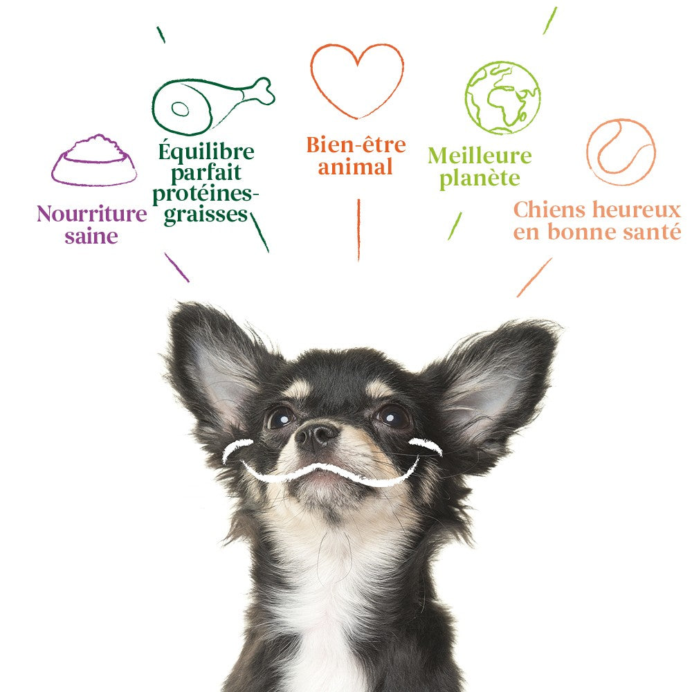 Yarrah pâtées bio - 12 x 150 g