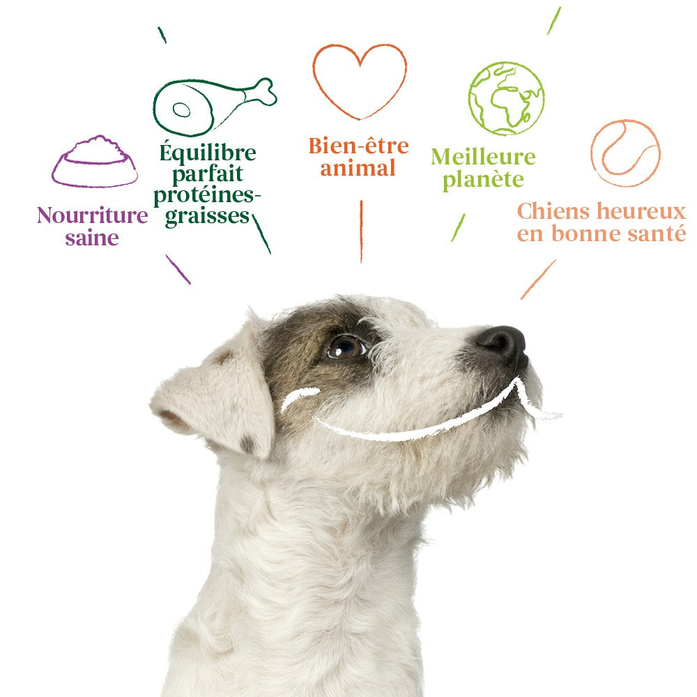 Yarrah pâtées bio - Lot de 6 x 150g