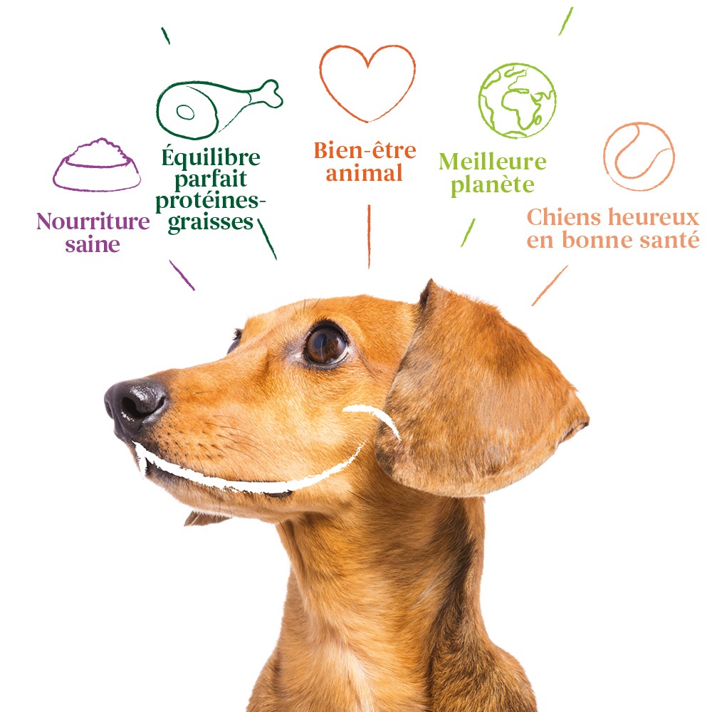 Yarrah pâtées bio - Lot de 6 x 150g