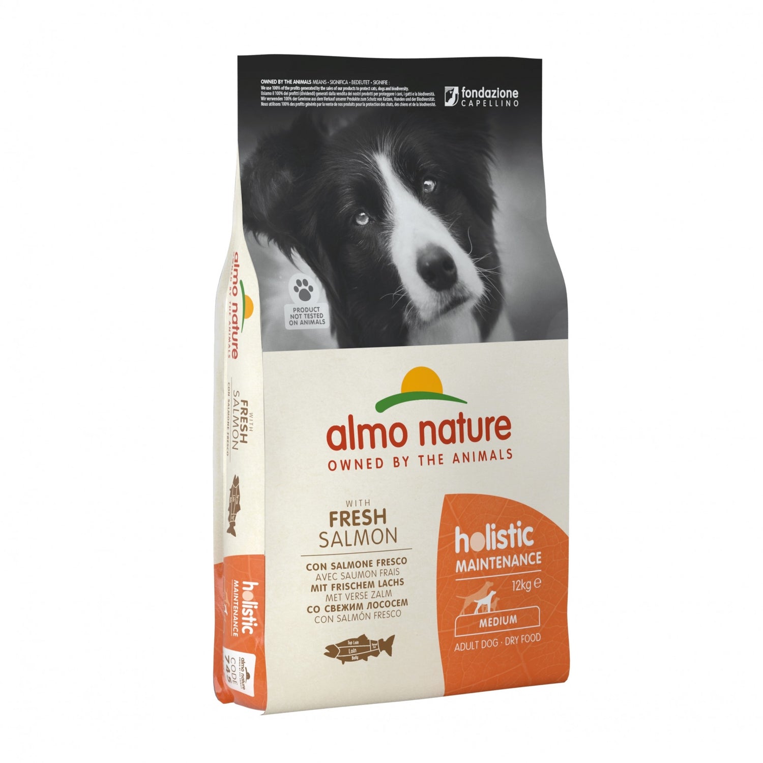 Almo Nature Croquettes Chien Adulte - Holistic Maintenance Medium