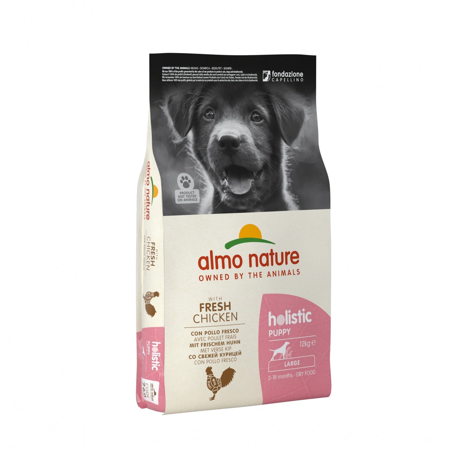 Almo Nature Croquettes Chiot - Holistic Large